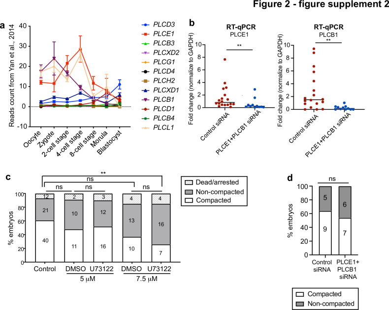 Figure 2—figure supplement 2.