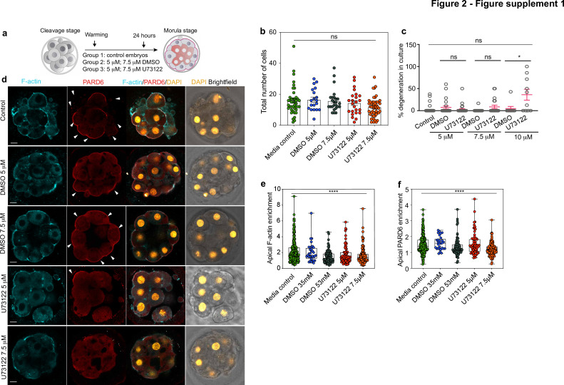 Figure 2—figure supplement 1.