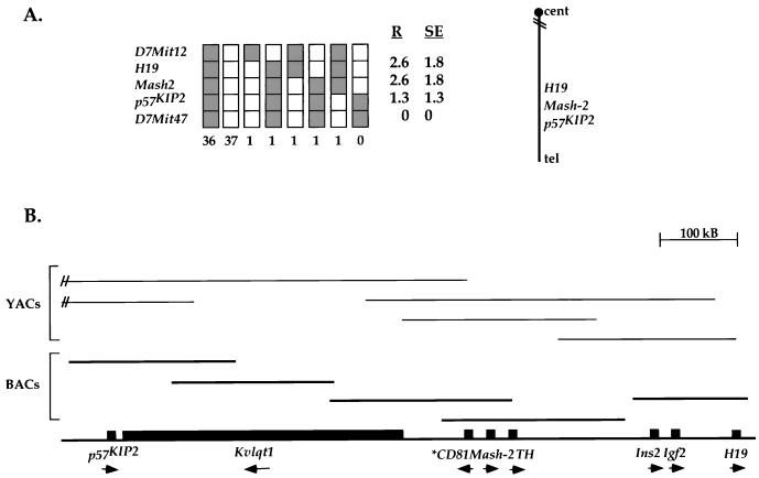 FIG. 1