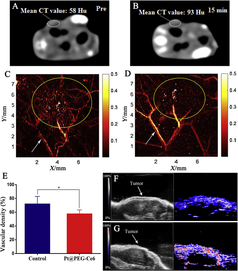 Figure 4