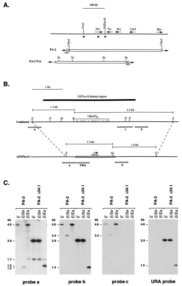 FIG. 3