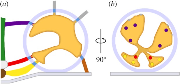 Figure 2.