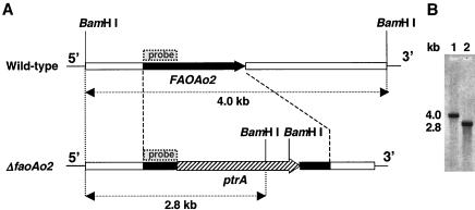 FIG. 5.