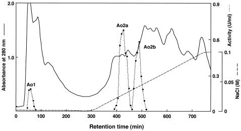 FIG.1.