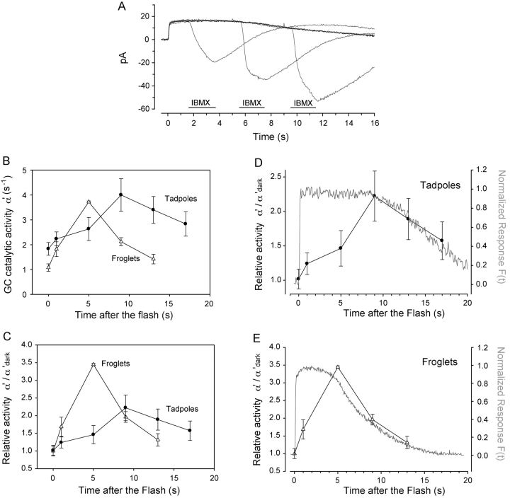 Figure 5. 