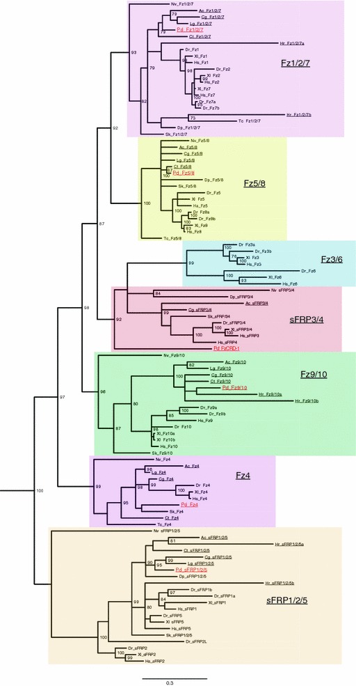 Fig. 2