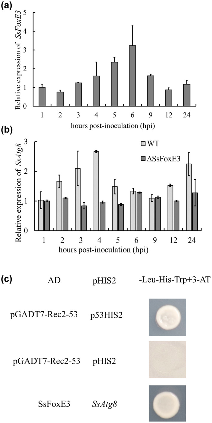 FIGURE 6