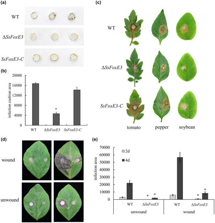 FIGURE 3