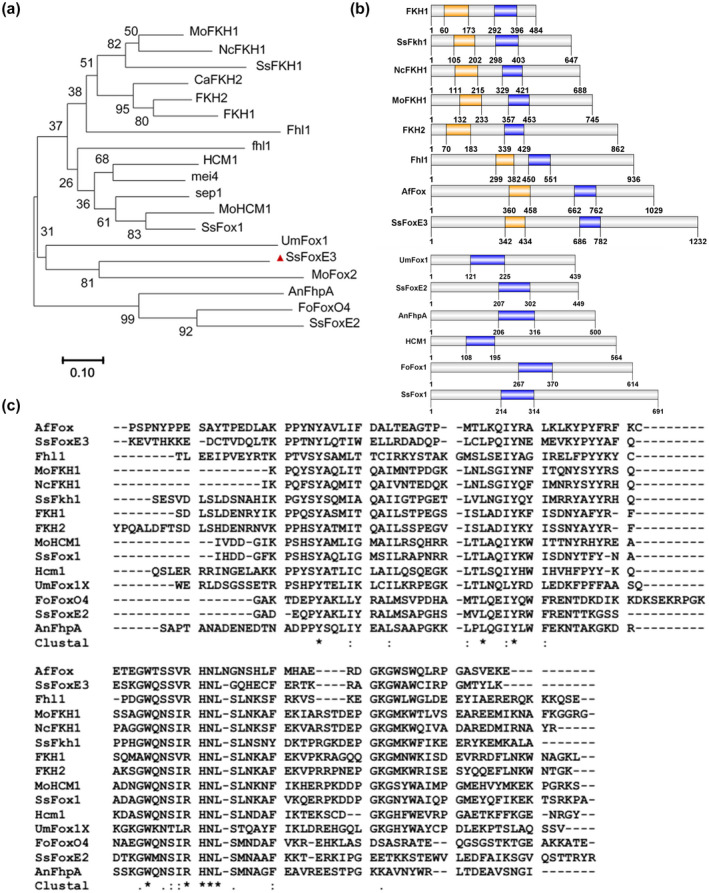 FIGURE 1