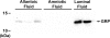 FIG. 9.