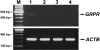 FIG. 10.