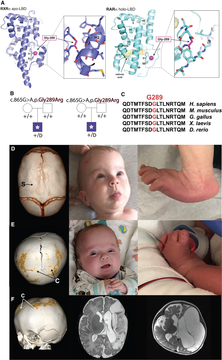 Figure 2