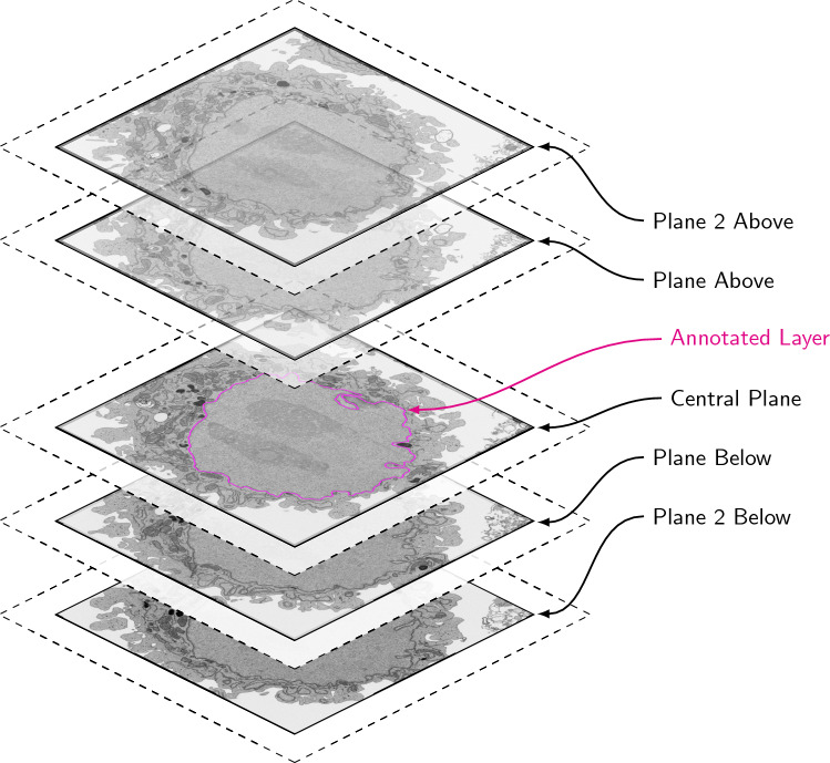 Fig. 5