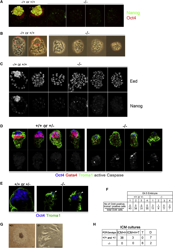 Figure 6