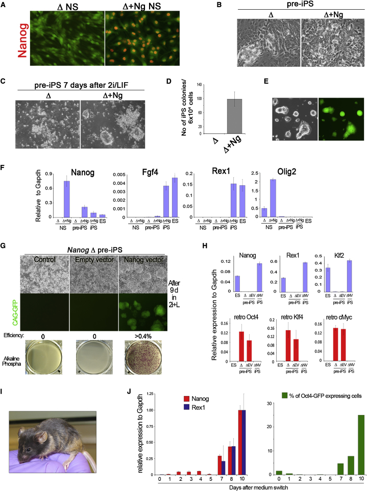 Figure 2