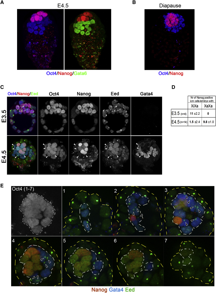 Figure 4