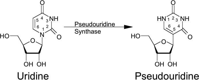 FIGURE 1.