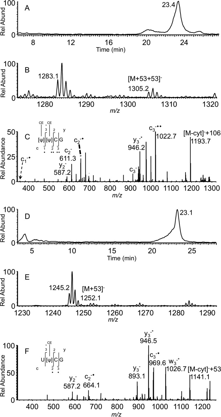 FIGURE 7.