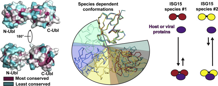 Unlabelled Image