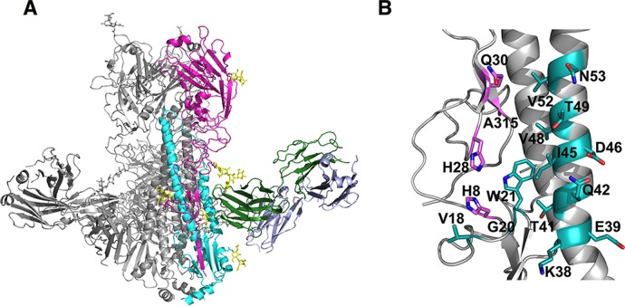 FIG 5