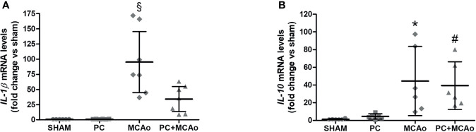 Figure 5