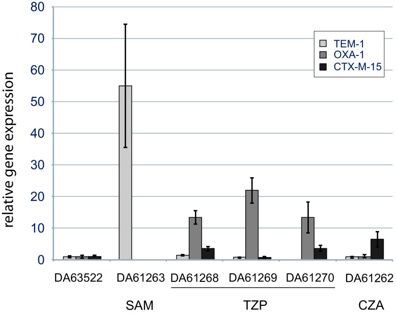 FIG 3