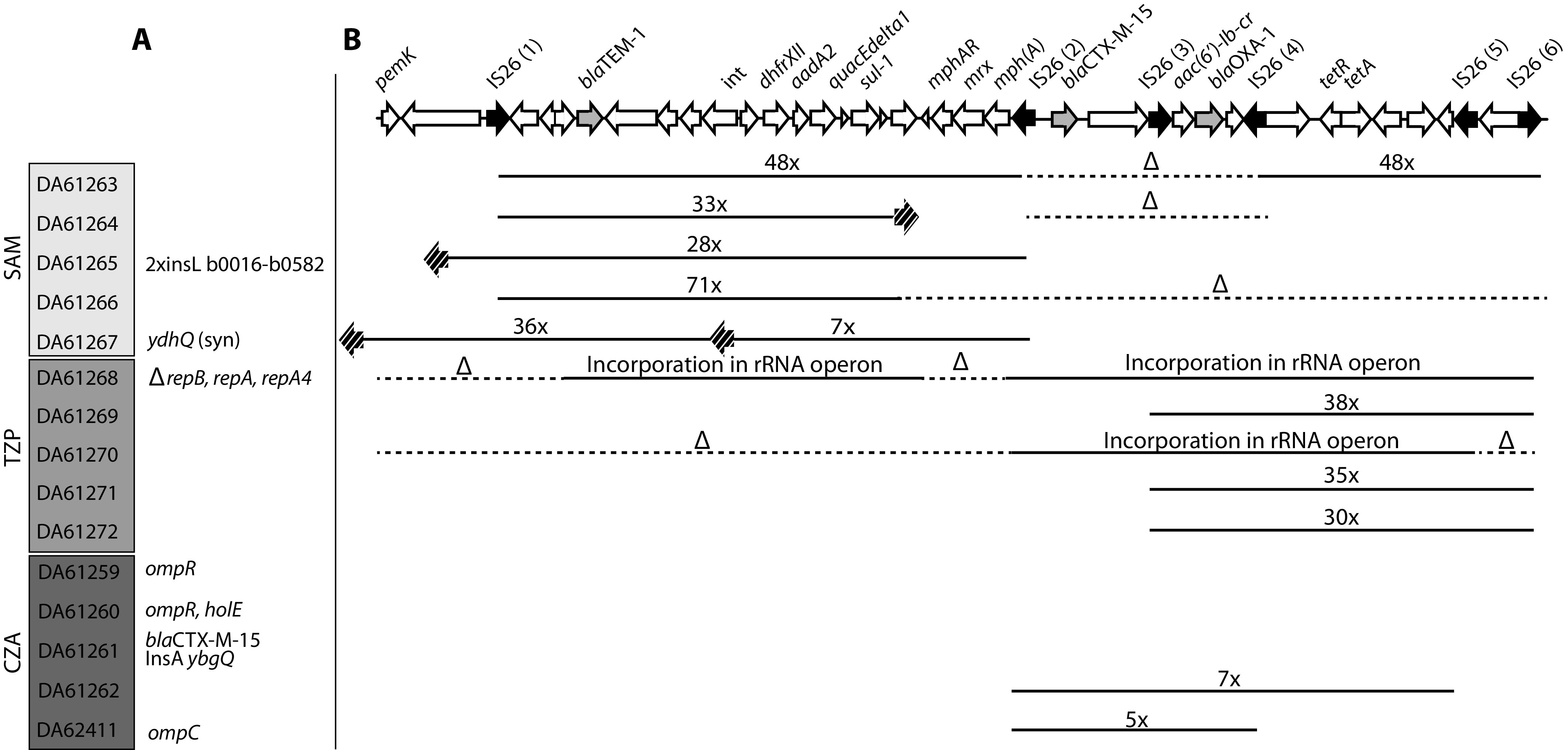 FIG 2