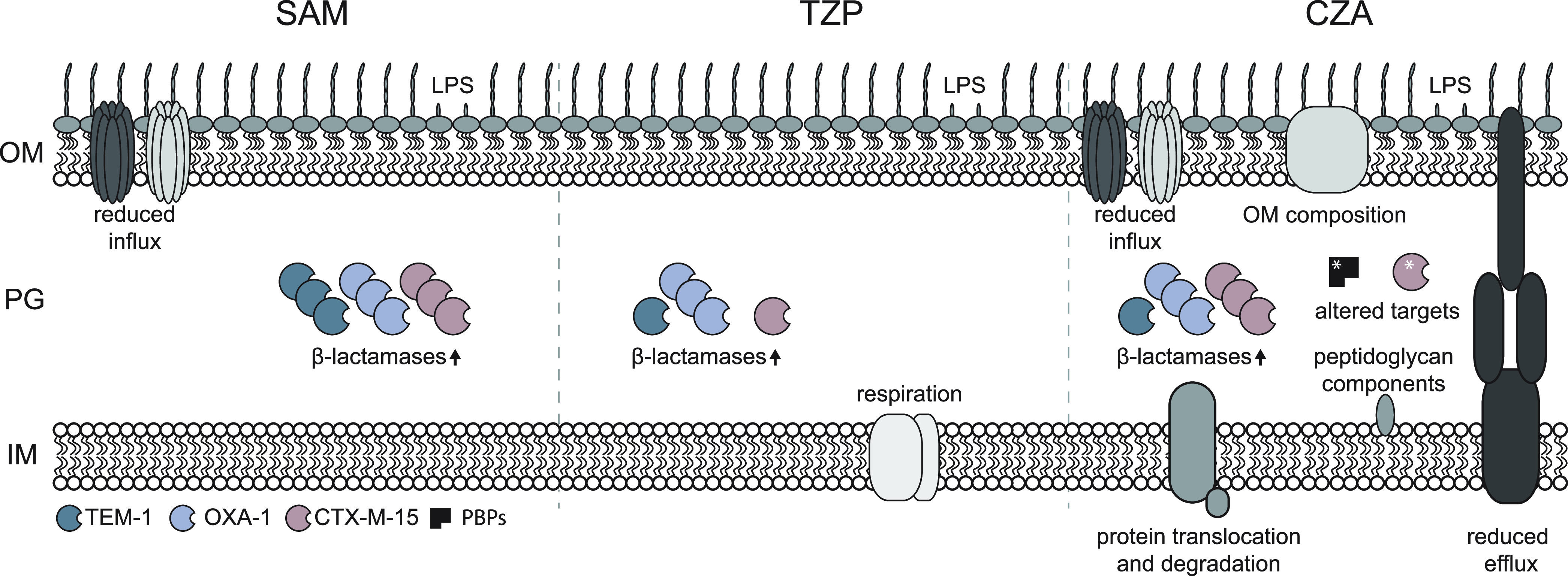 FIG 6