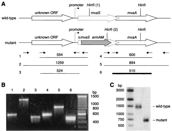 FIG. 5