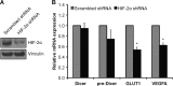 FIGURE 10.