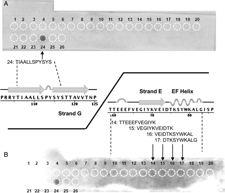 Fig. 1.