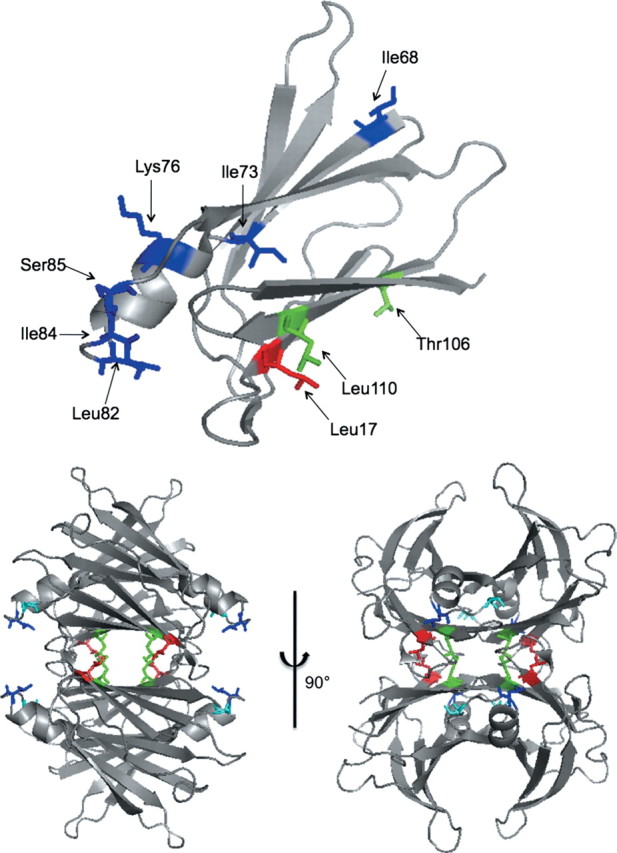 Fig. 3.