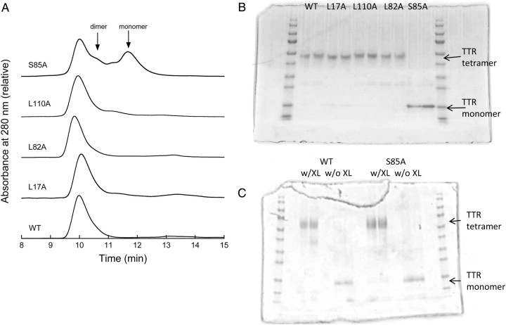 Fig. 5.