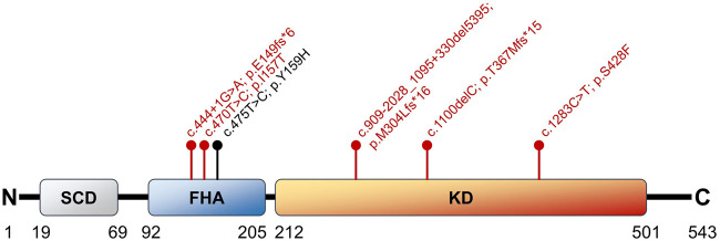 Figure 1.