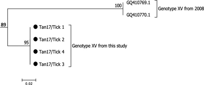 FIGURE 6