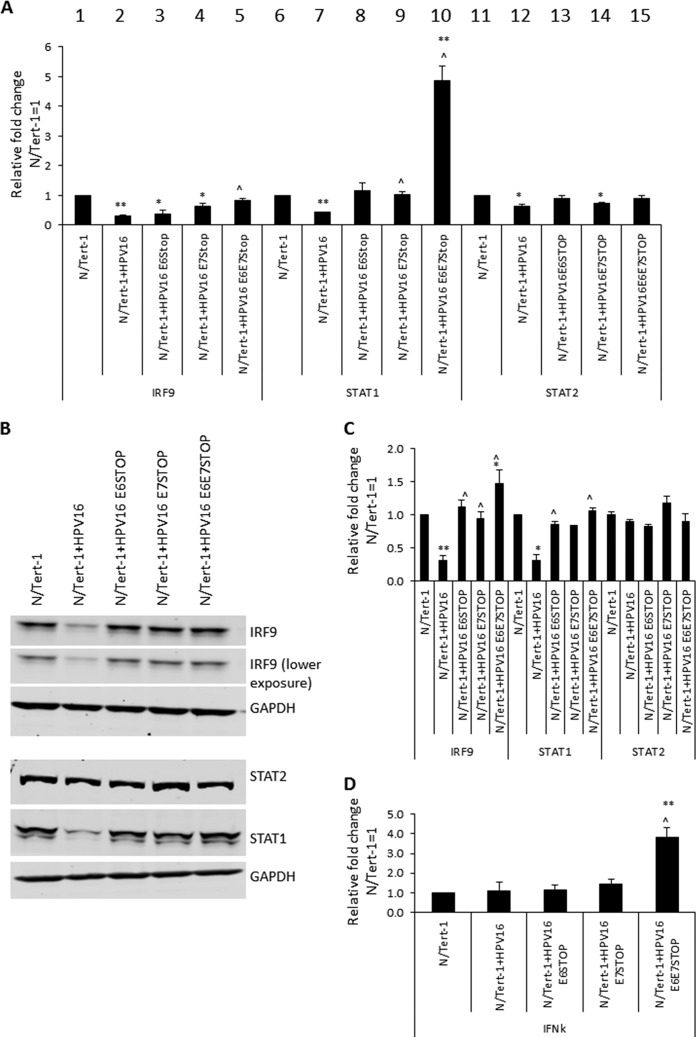 FIG 3