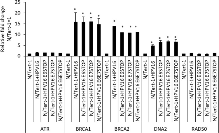 FIG 6