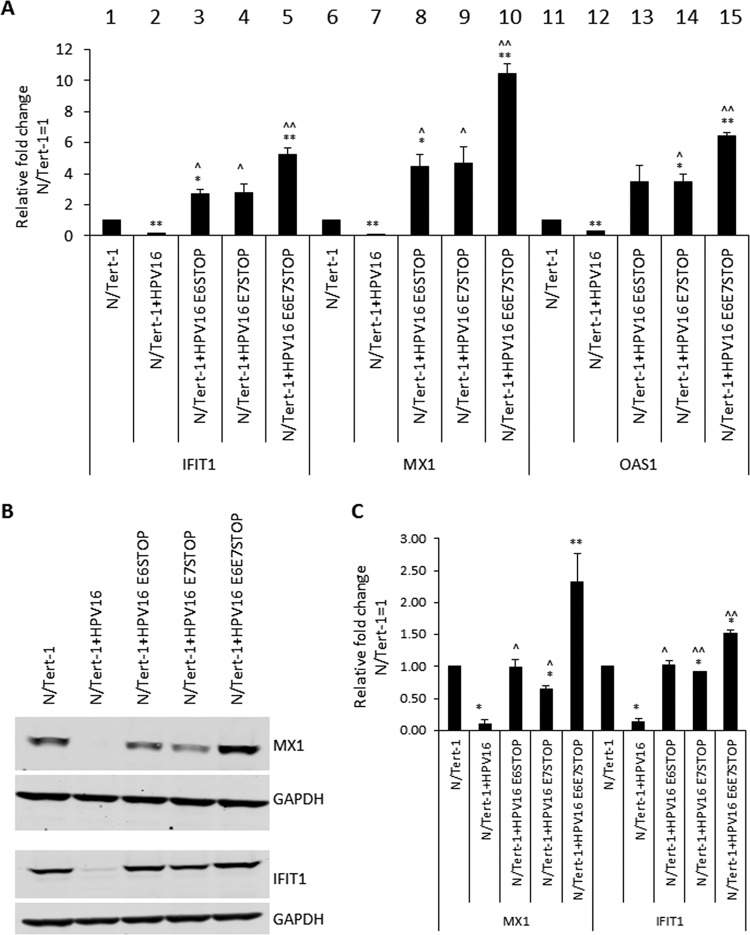 FIG 2