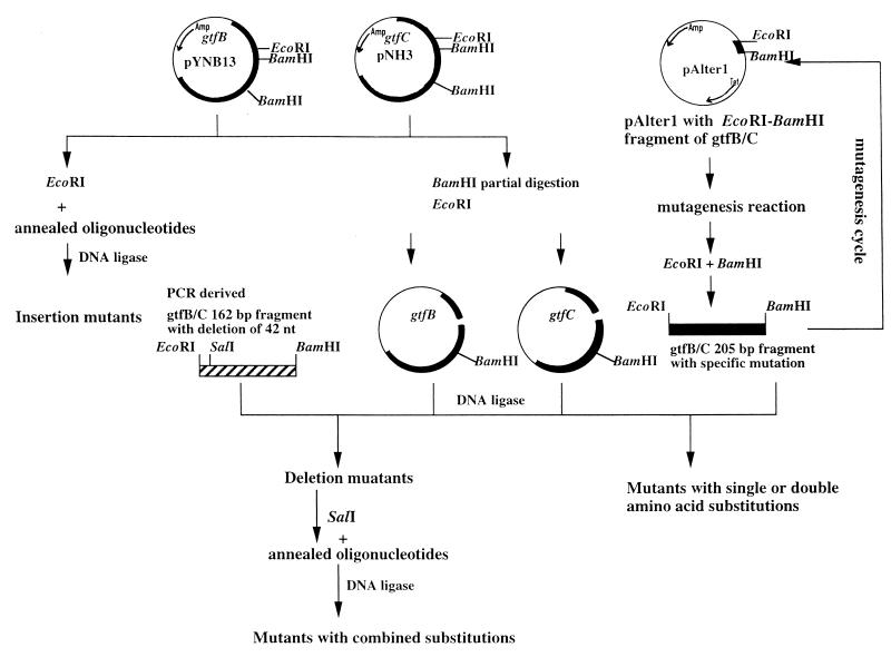 FIG. 3