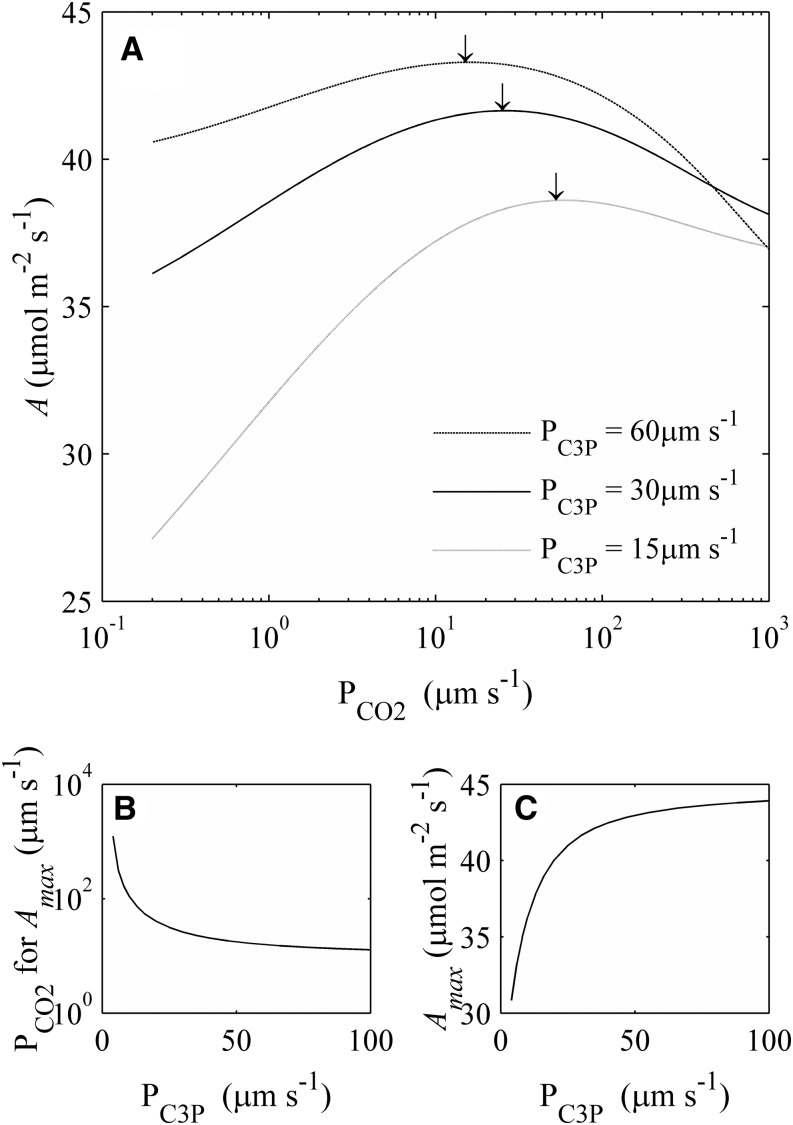 Figure 8.