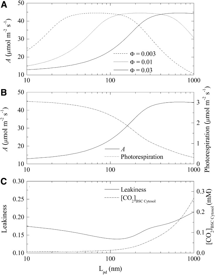 Figure 9.