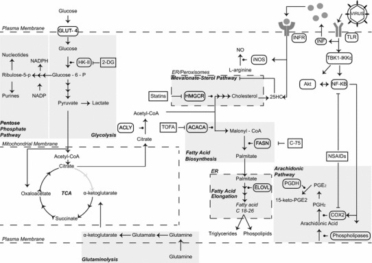 Fig. 2