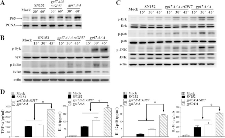 FIG 4