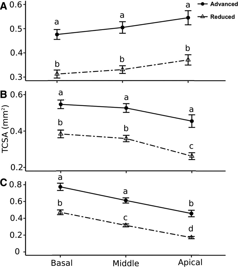 Figure 6.