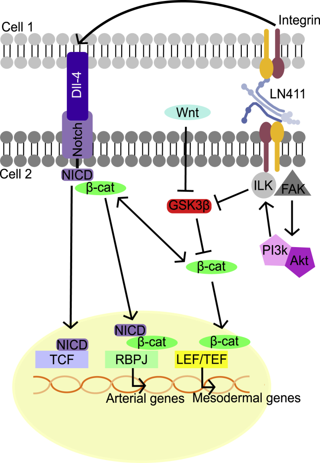 Figure 6