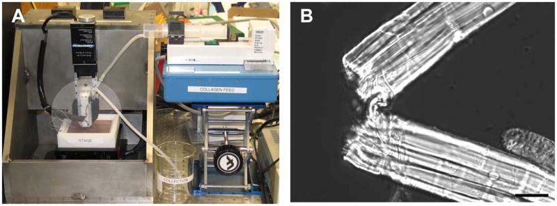 Figure 35