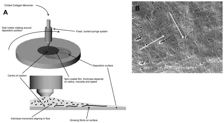 Figure 31