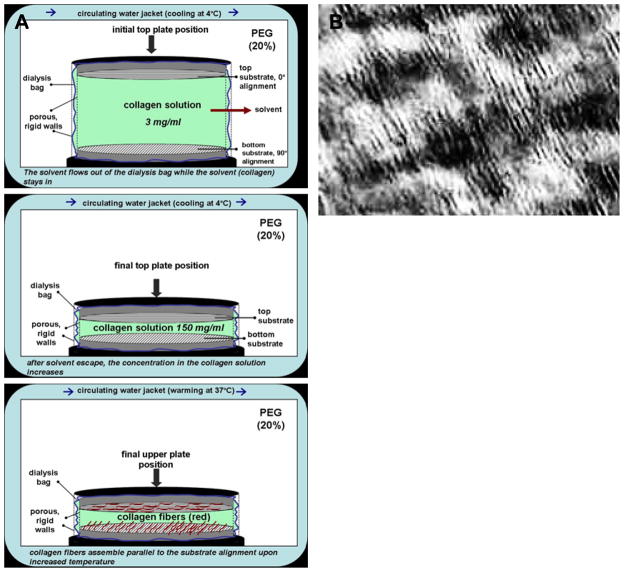 Figure 38