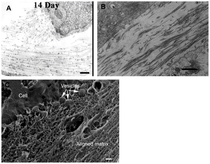 Figure 37