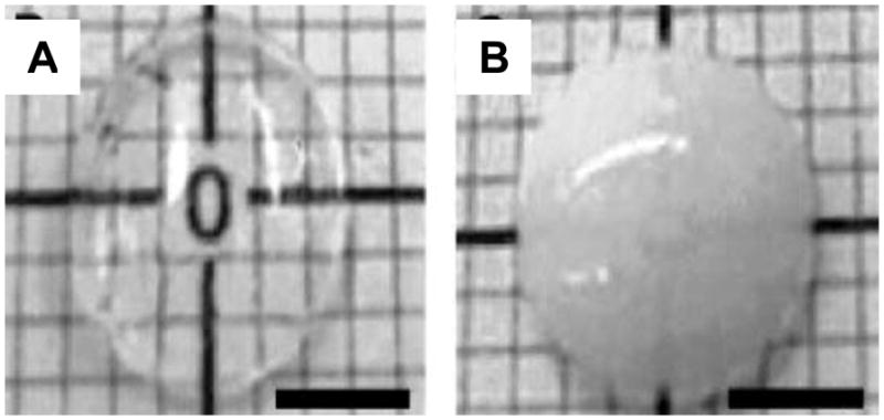 Figure 19